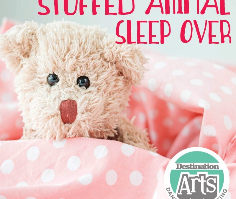 Join us for our Stuffed Animal Sleepover Benefiting Bella’s Blessings!